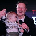 50 błędów poznawczych, których należy unikać. Tak twierdzi Elon Musk