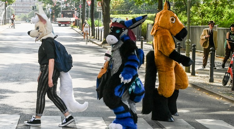 Furry fesztivál Berlinben 2022 nyarán