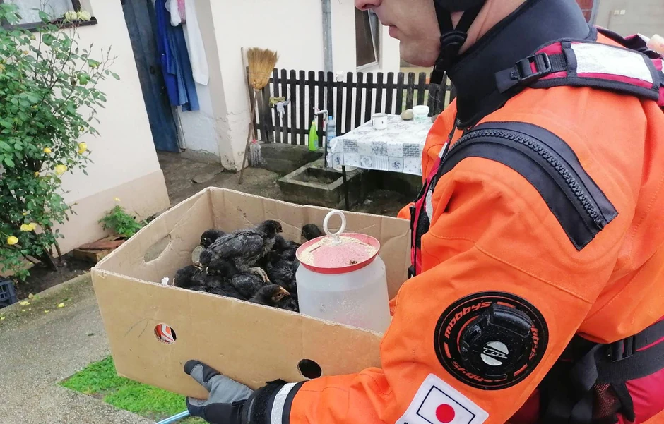 Poplave, Užice, evakuacija