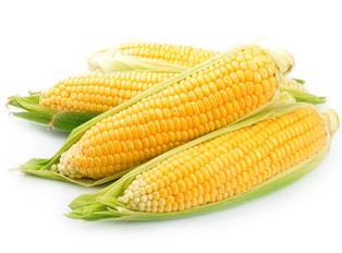 Pierwszy pociąg z kukurydzą z Ukrainy powinien przyjechać do Rostoku w najbliższych dniach