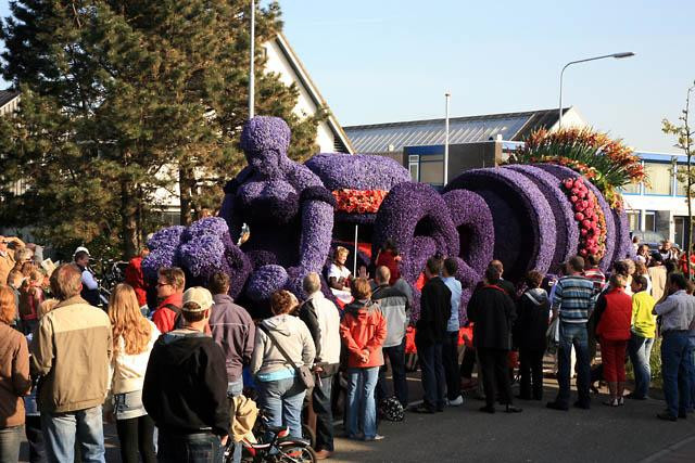 Galeria Holandia - Parada Kwiatów, obrazek 10