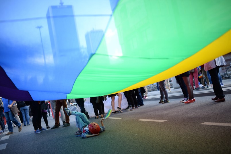Uczestnicy parady przebrali się m.in. w karnawałowe stroje. Przynieśli chorągiewki w barwach unijnych, biało-czerwone i tęczowe, a także z logami partii politycznych i inicjatyw obywatelskich. Obecni są członkowie i sympatycy partii Zieloni, SLD, Nowoczesna i Razem.