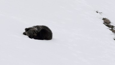 Poważne zagrożenie w Tatrach. Eksperci ostrzegają turystów