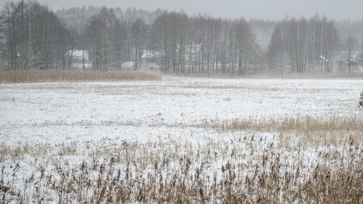 Instytut Meteorologii i Gospodarki Wodnej wydał ostrzeżenia pierwszego stopnia dla Sudetów i Przedgórza Sudeckiego. Z powodu wzrostu temperatur może dojść do szybkich roztopów.