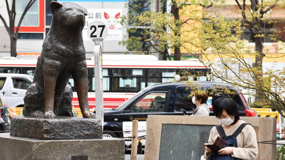 Pomnik psa Hachiko
