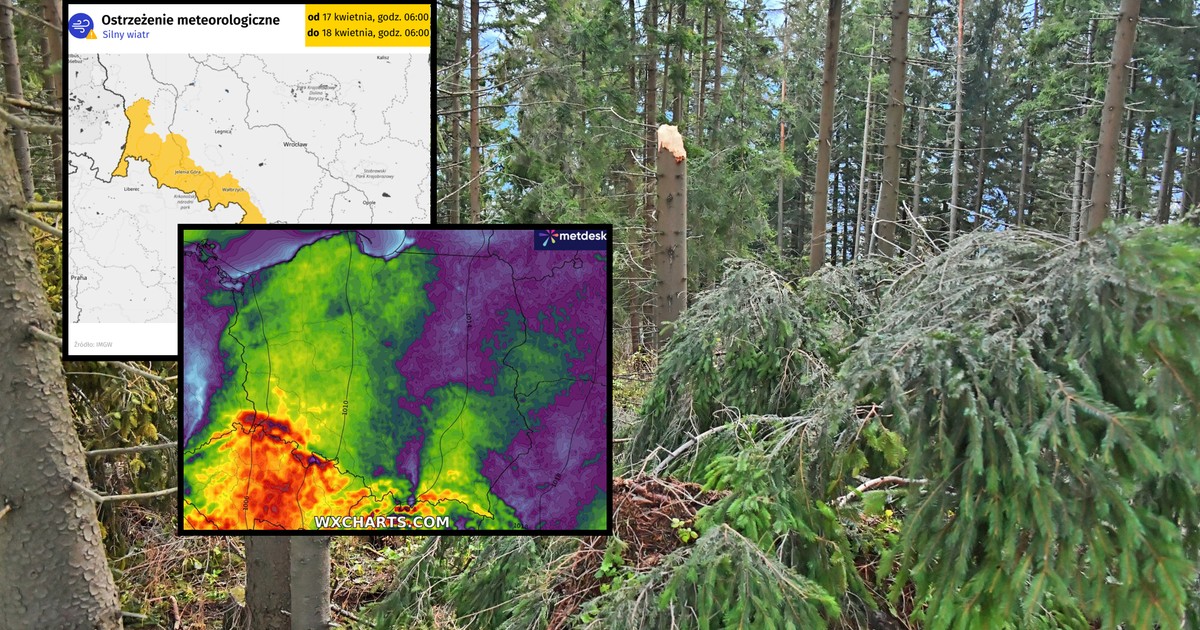 Alert IMGW. Silny halny szaleje na południu Polski. Wichura przekracza 100 km na godz.