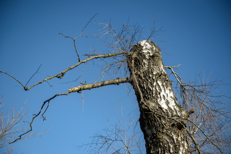Miejsce katastrofy smoleńskiej 5 lat później