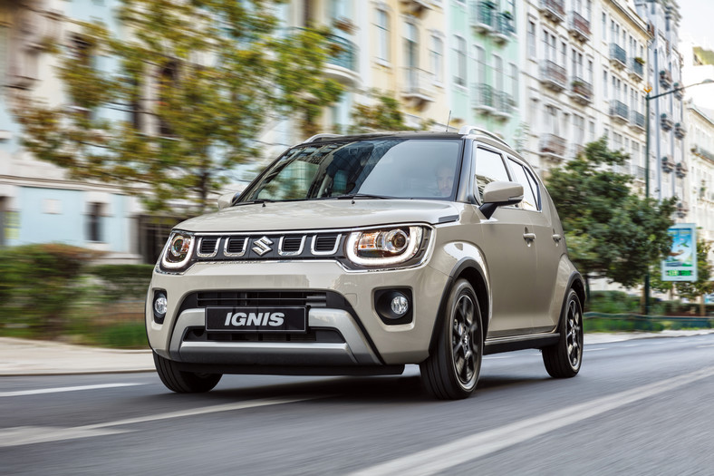 Suzuki ignis пружины