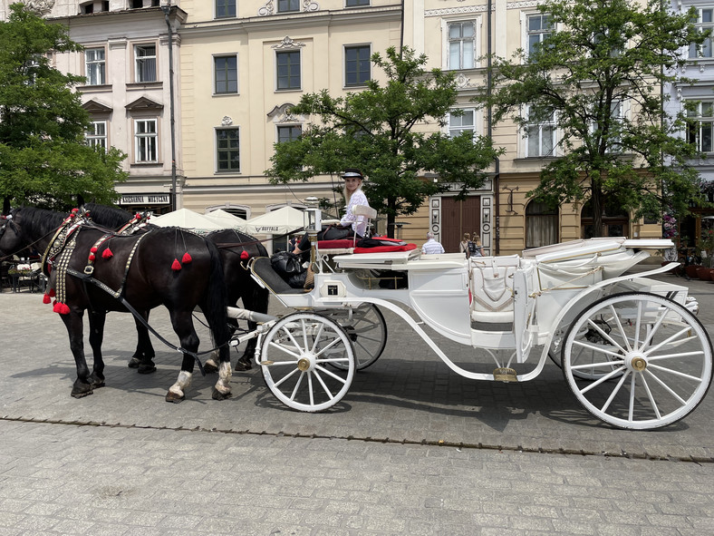 Dorożka Jarosława Madeja