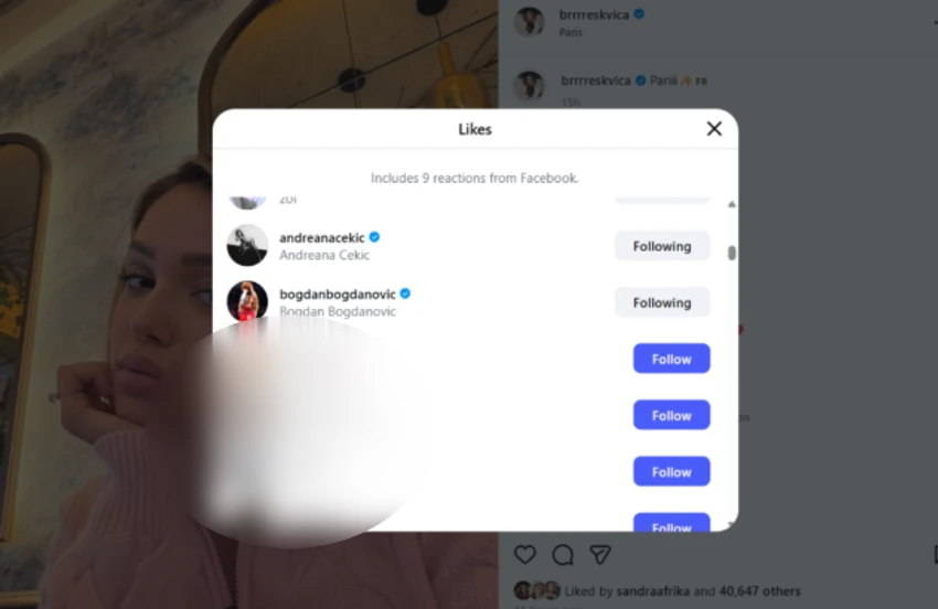  Breskvica je privukla pažnju Bogdana Bogdanovića