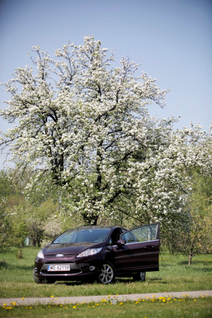 Ford w słońcu