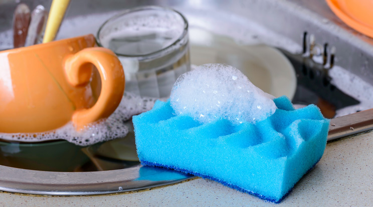 Mennyire tiszta a mosogatószivacsunk? / Fotó: Shutterstock