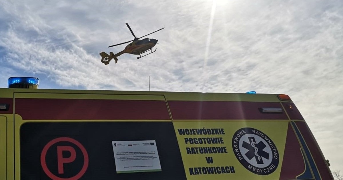 Konar przygniótł 14-latka. Szpital przekazał najnowsze informacje