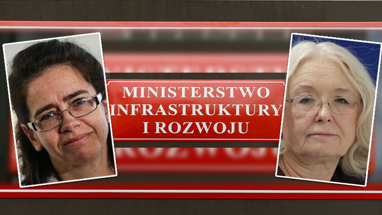 Ministerstwo Infrastruktury i Rozwoju: Anna Streżyńska
