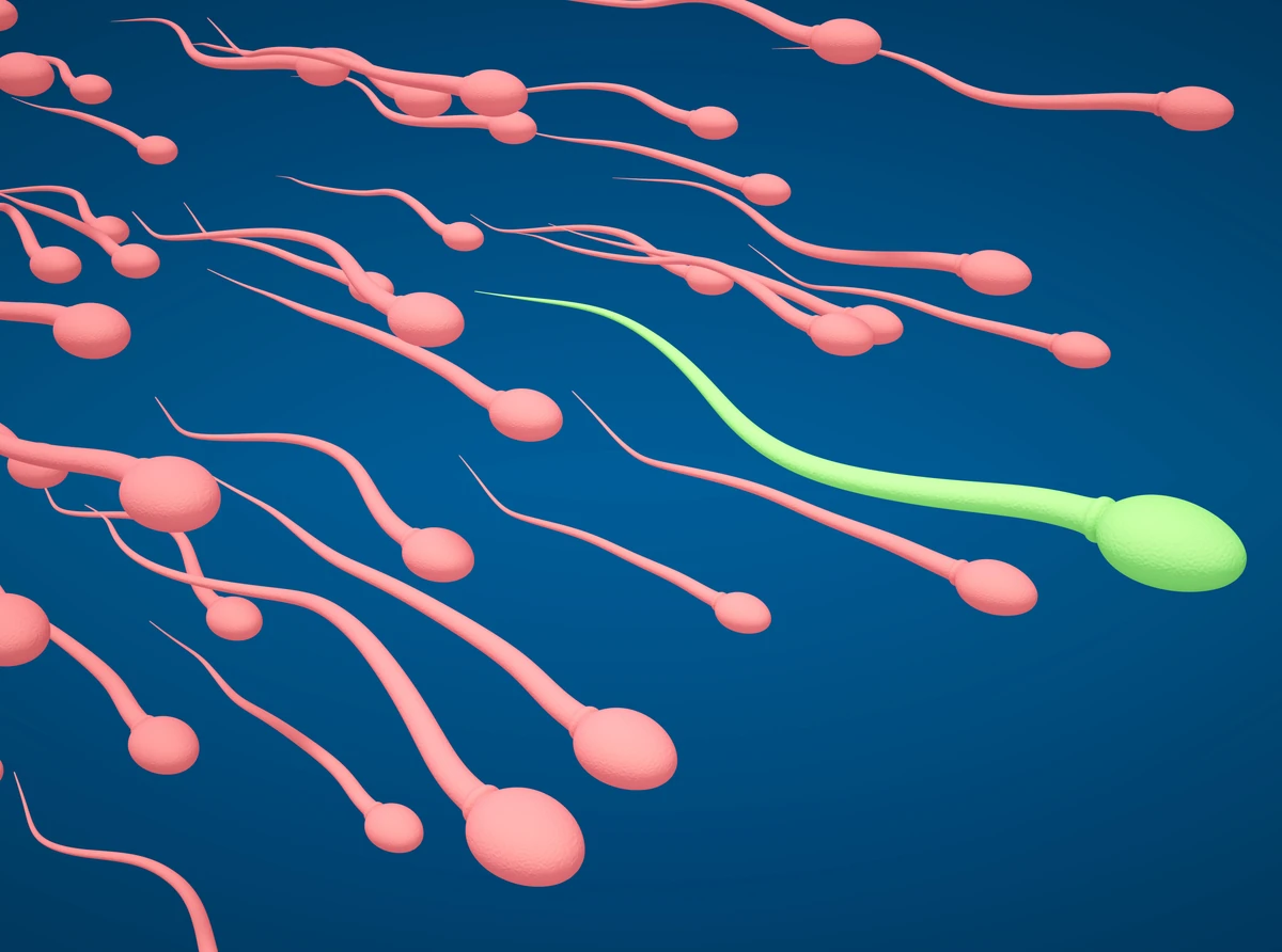 Pierwszy na świecie wyścig plemników. "Bądźmy szczerzy, to zabawne"