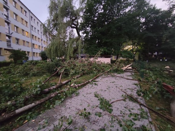 Nawałnica spustoszyła Osiedle Podwawelskie