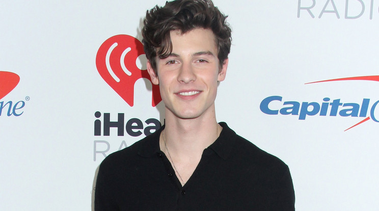 Shawn Mendes /Fotó: Northfoto