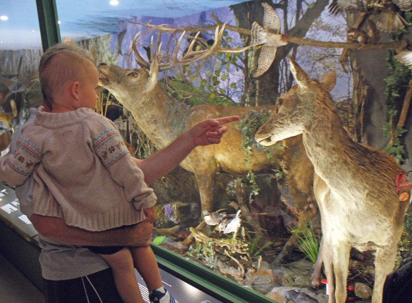 ...“Svet minerala i stena” i “Biodiverzitet Srbije”