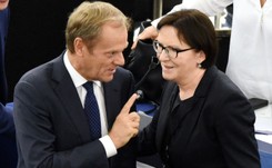 Tusk i Kopacz przed Trybunałem Stanu? Terlecki mówi o rozliczeniu 'odpowiedzialnych za rabunek mienia Polski'