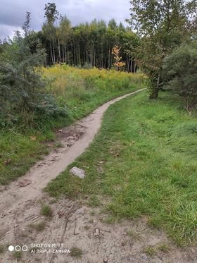 Os. Podleśna. Mieszkańcy proszą o przedłużenie chodnika do Wadąga. Co na to urzędnicy? - zdjęcie 1