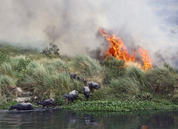 INDIA-ENVIRONMENT/