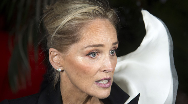 Őszintén mesélt sztrókjáról Sharon Stone /Fotó: Northfoto