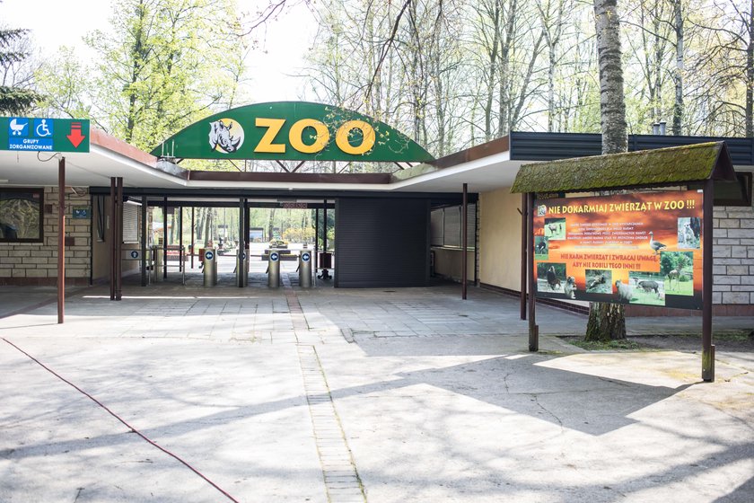 Poznań: 19-latkowie urządzili w zoo rajd. Staranowali meleksa