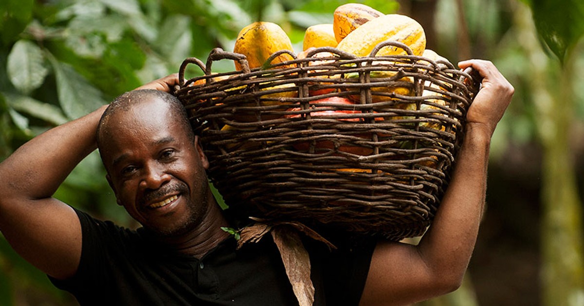 Ghana seeks 400 million loan from its cocoa traders amidst