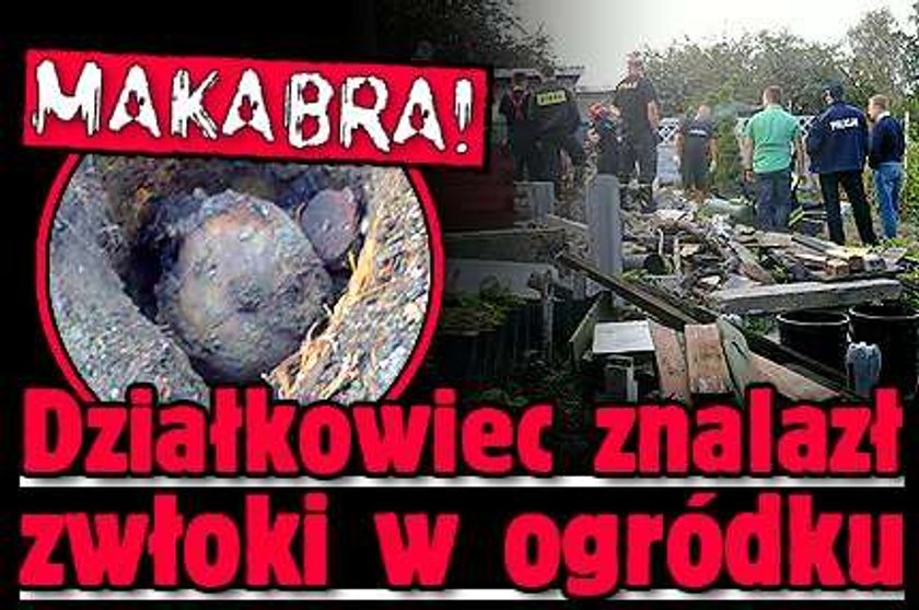 Makabra! Działkowiec znalazł zwłoki w ogródku