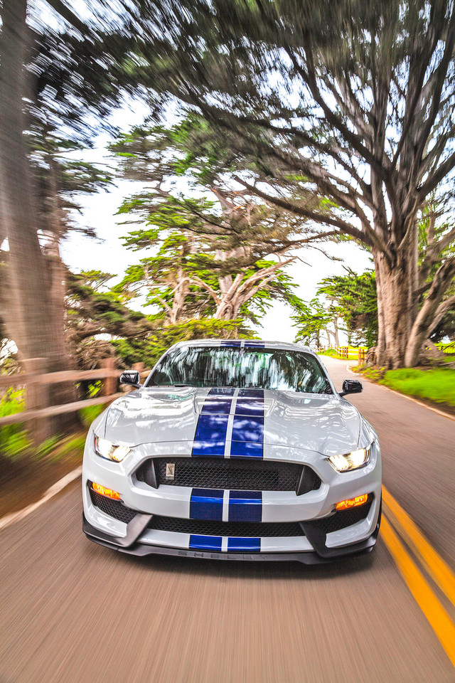 Ford Mustang Shelby GT350