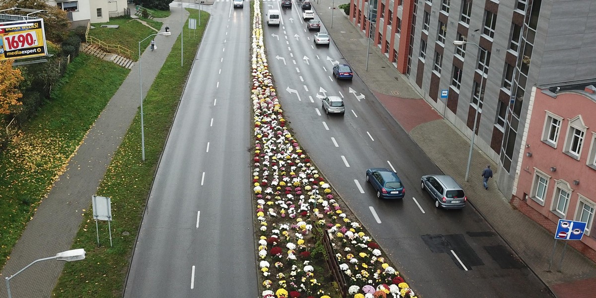 Zrobią to z tysiącami niesprzedanych kwiatów z cmentarzy. "Coś jakby dywan"