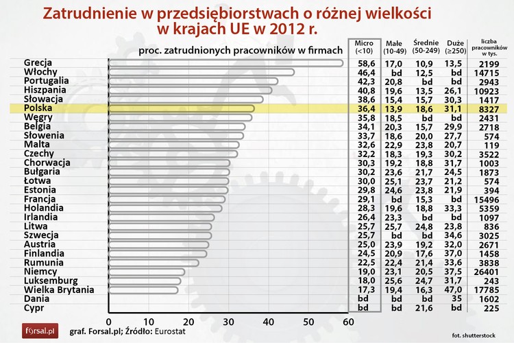 Wśród krajów Unii Europejskiej największy odsetek zatrudnionych w najmniejszych przedsiębiorstwach (58,6 proc.) był w Grecji. Kolejne były Włochy (46,4 proc.), Portugalia (42,3 proc.), Hiszpania (40,8 proc.), Słowacja (38,6 proc.). Na szóstym miejscu znalazła się Polska, gdzie z łącznej liczby 8 mln 327 tys. zatrudnionych w 2012 r. w najmniejszych firmach pracowało 36,4 proc. osób. W największych polskich zakładach zatrudnionych było 31,1 proc. pracowników. Odsetek pracujących w małych i średnich firmach w Polsce wynosił odpowiednio 13,9 proc. i 18,6 proc.