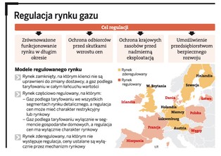 Konkurencja zamiast regulacji. To szansa dla rynku gazu łupkowego