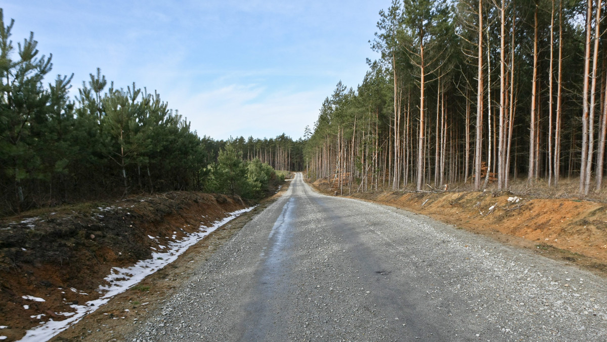 Znowelizowana ustawa o Lasach Państwowych została podpisana przez Bronisława Komorowskiego - poinformowała w środę Kancelaria Prezydenta. Ustawa zakłada, że Lasy Państwowe w latach 2014-2015 wpłacą do budżetu państwa 1,6 mld zł. Środki te mają być przeznaczone na budowę i przebudowę dróg lokalnych.