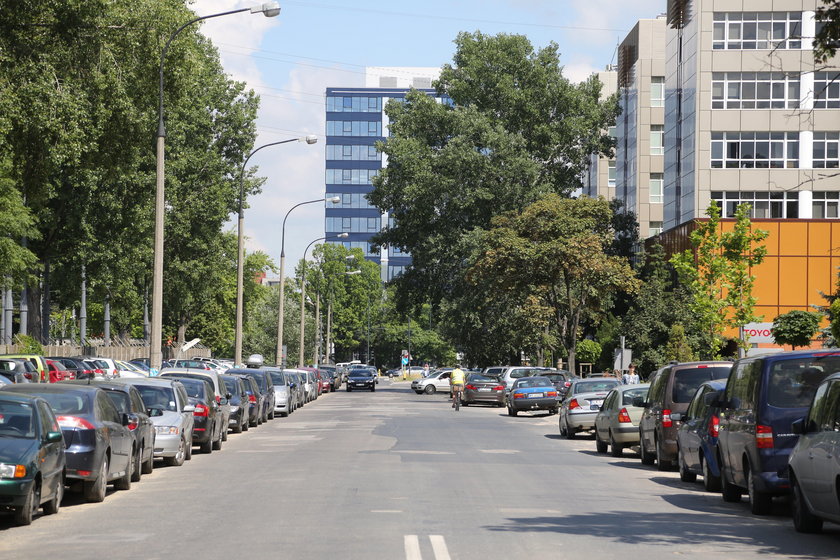 To będą rosły najdroższe drzewa w mieście