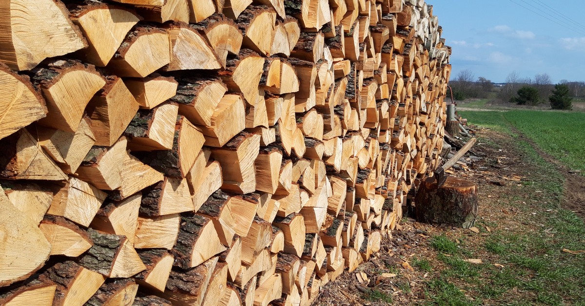 Ceny drewna opałowego w Polsce 2025 – ile kosztuje 1 metr drewna opałowego we wrześniu 2025? Jaka jest aktualna cena drewna opałowego?