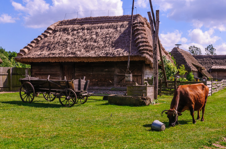 Muzeum Wsi Mazowieckiej, Sierpc