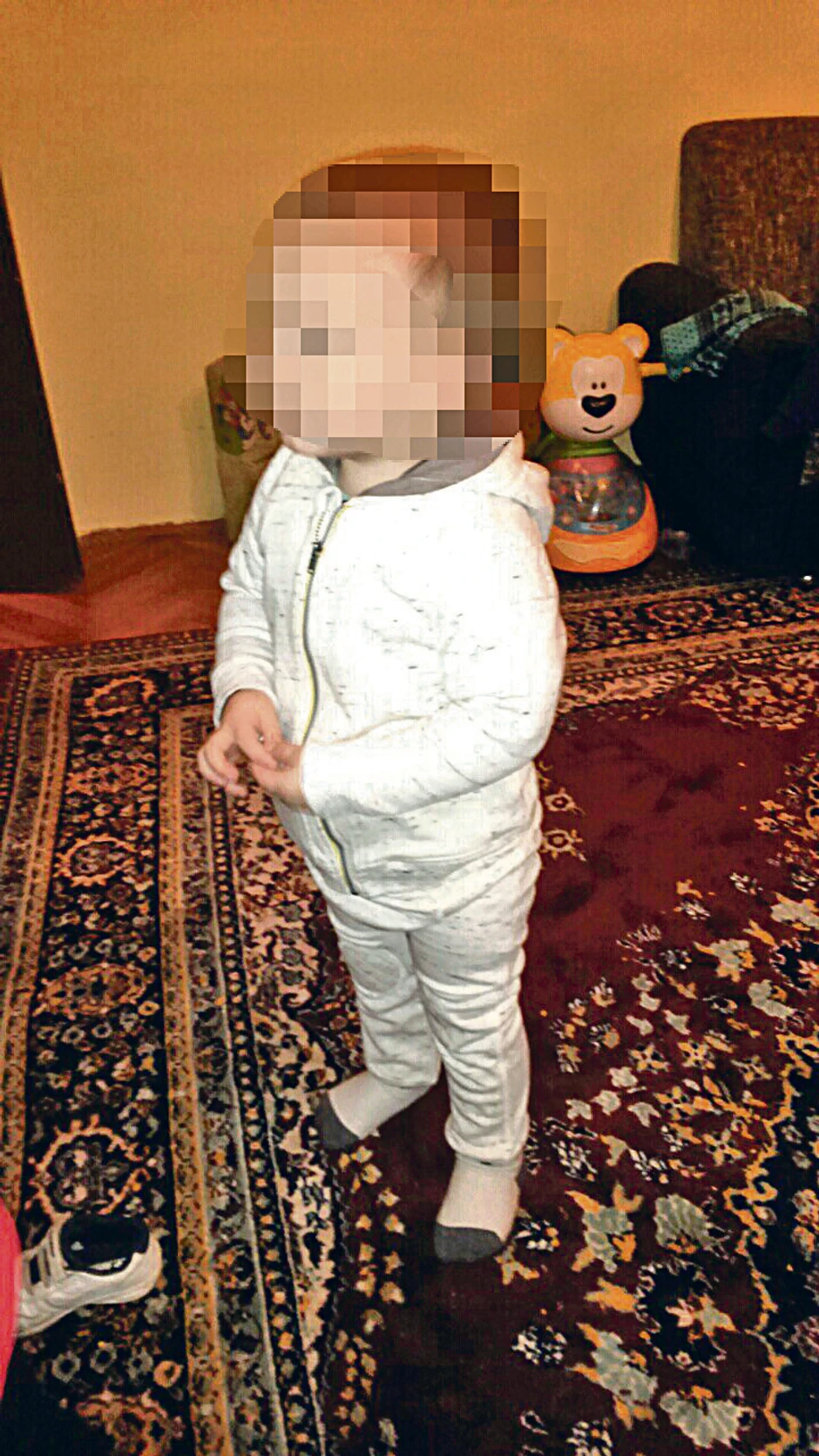 "Samo jedna misao mi je bila u glavi, da zaštitim dete": Unuk T. S.