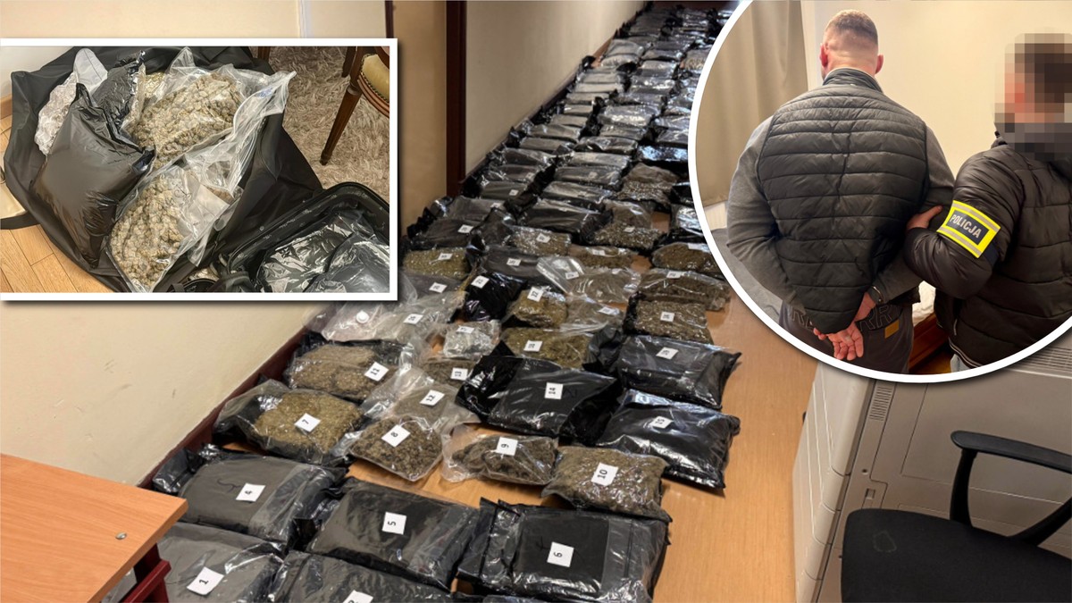 W idealnym momencie zatrzymali bossa pseudokibiców. Akcja jak z filmu