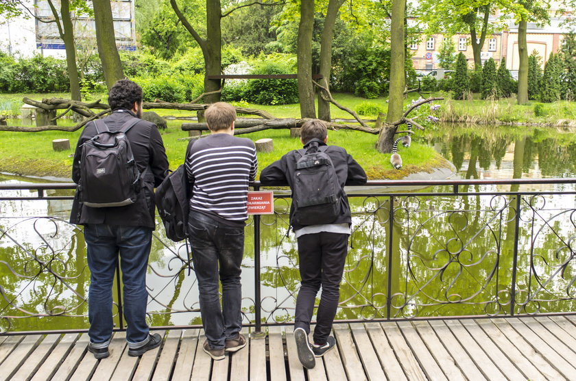 Nie dokarmiajcie zwierząt w zoo - apelują pracownicy ogrodu