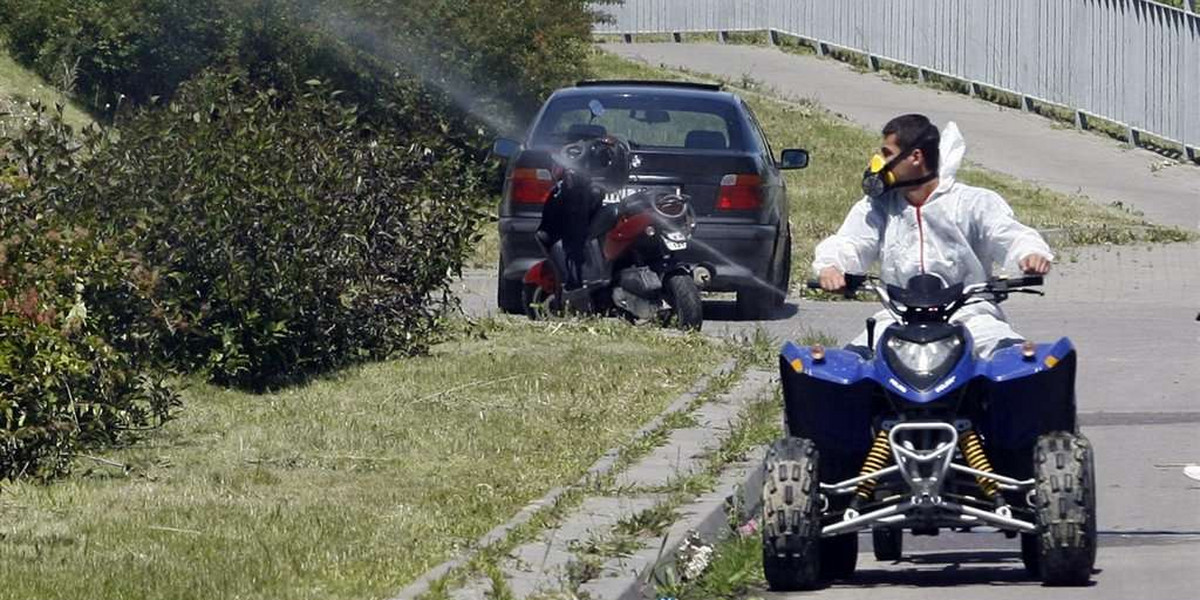 Walczą z komarami