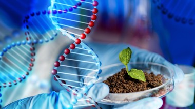 Trudny QUIZ z biologii. Licealista da radę, a Ty? Dwa pytania są dość proste