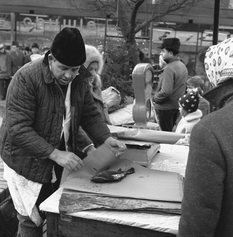 Szczecin, 1970 r. Sprzedaż karpi przed Świętami Bożego Narodzenia
