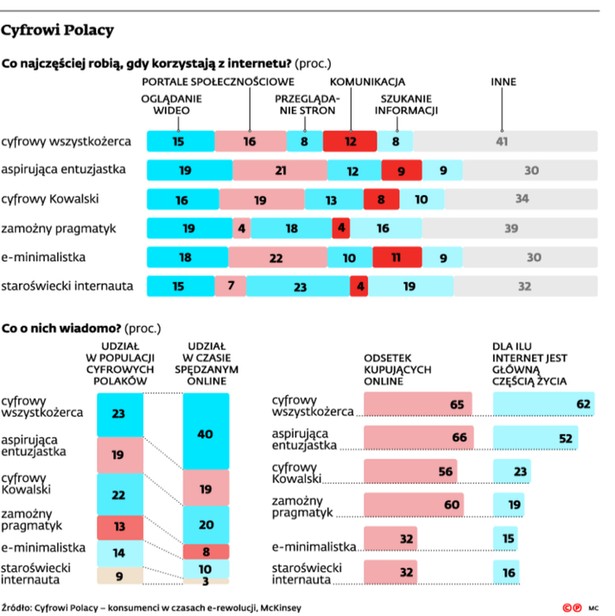 Cyfrowi Polacy