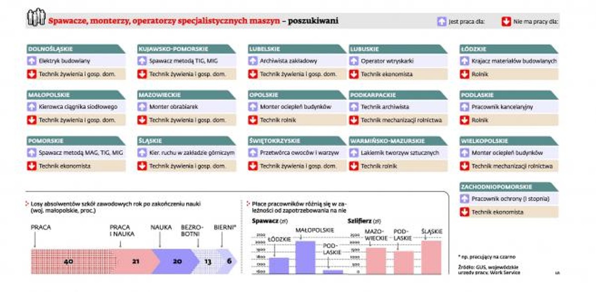 Pracownicy po szkołach zawodowych