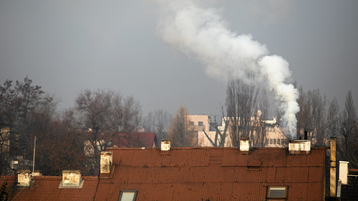 Zanieczyszczenie powietrza pyłami zawieszonymi i benzopirenem to jeden z głównych problemów Polski w zakresie ochrony środowiska naturalnego - wynika z przedstawionego we wtorek raportu Europejskiej Agencji Środowiska (EEA), poświęconego stanowi środowiska w Europie.