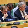 Johan Vadeful u UN uoči glasanja za privremena mesta u Savetu bezbednosti 3. juna