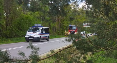 Czarna sobota na Lubelszczyźnie. Tragedia młodych ludzi