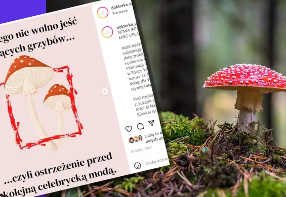 Influencerki zachwalają jedzenie muchomorów. "Będą opłakane konsekwencje" — alarmuje lekarka