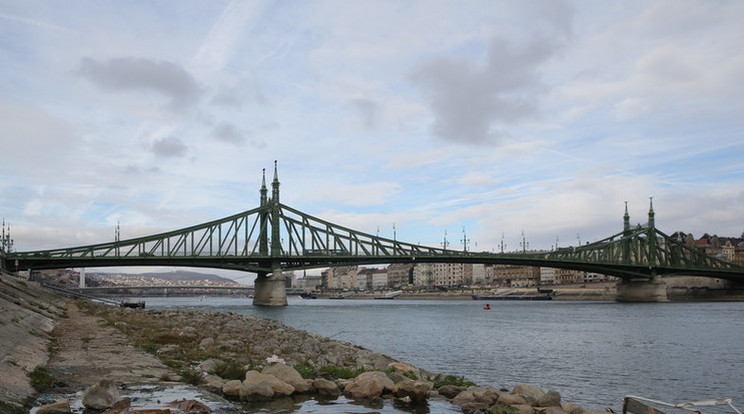 Szabadság híd /Fotó: Weber Zsolt